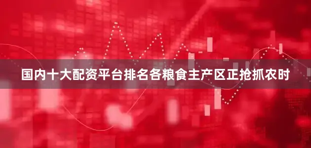 国内十大配资平台排名各粮食主产区正抢抓农时