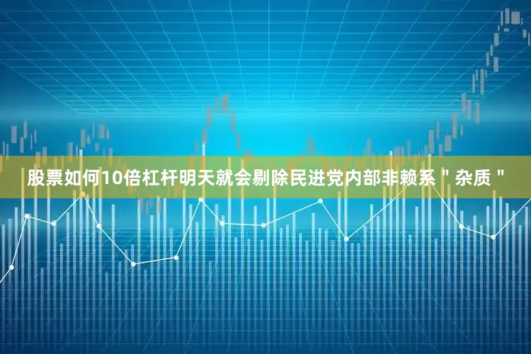 股票如何10倍杠杆明天就会剔除民进党内部非赖系＂杂质＂
