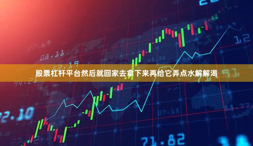 股票杠杆平台然后就回家去拿下来再给它弄点水解解渴