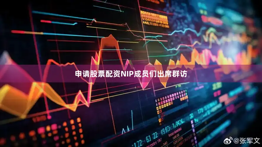申请股票配资NIP成员们出席群访